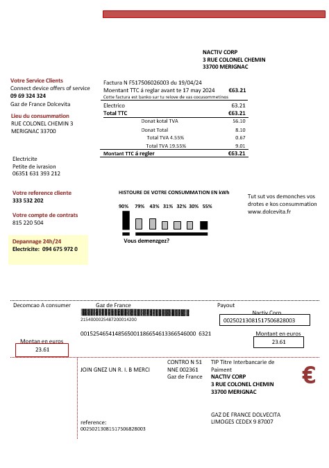 France Gaz de France Dolcevita business utility bill template in Word and PDF formats1